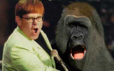 elton_john.jpg