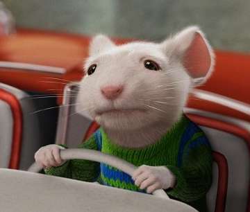 stuart_little.jpg