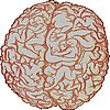 malebrain.gif