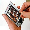palm.jpg