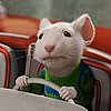 stuart_little.jpg